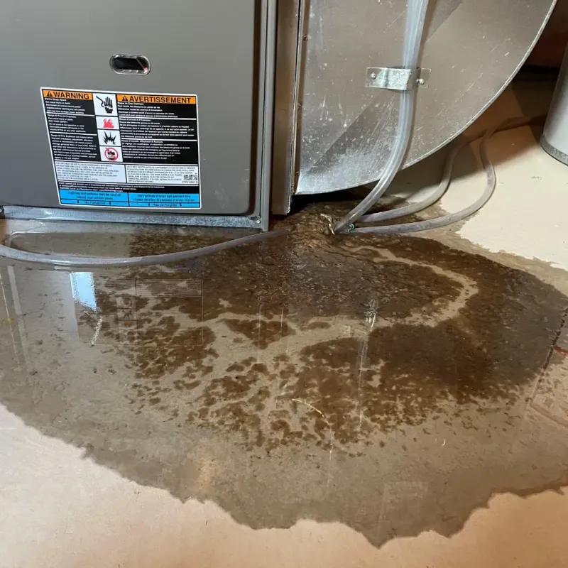 Appliance Leak Cleanup in New Braunfels, TX