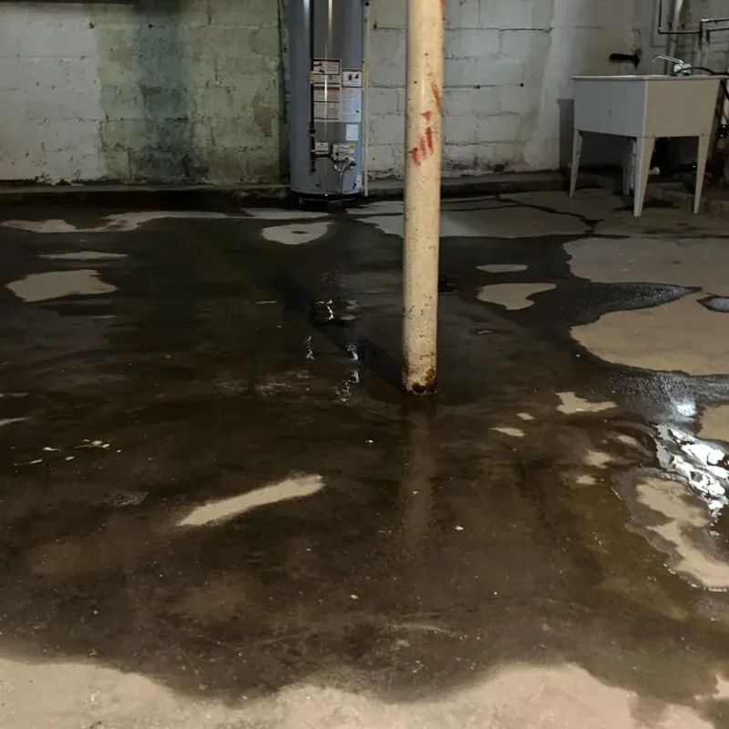 Emergency Water Extraction And Removal in New Braunfels, TX
